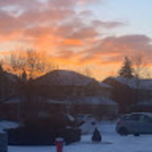 Meet your Posher, Shayla